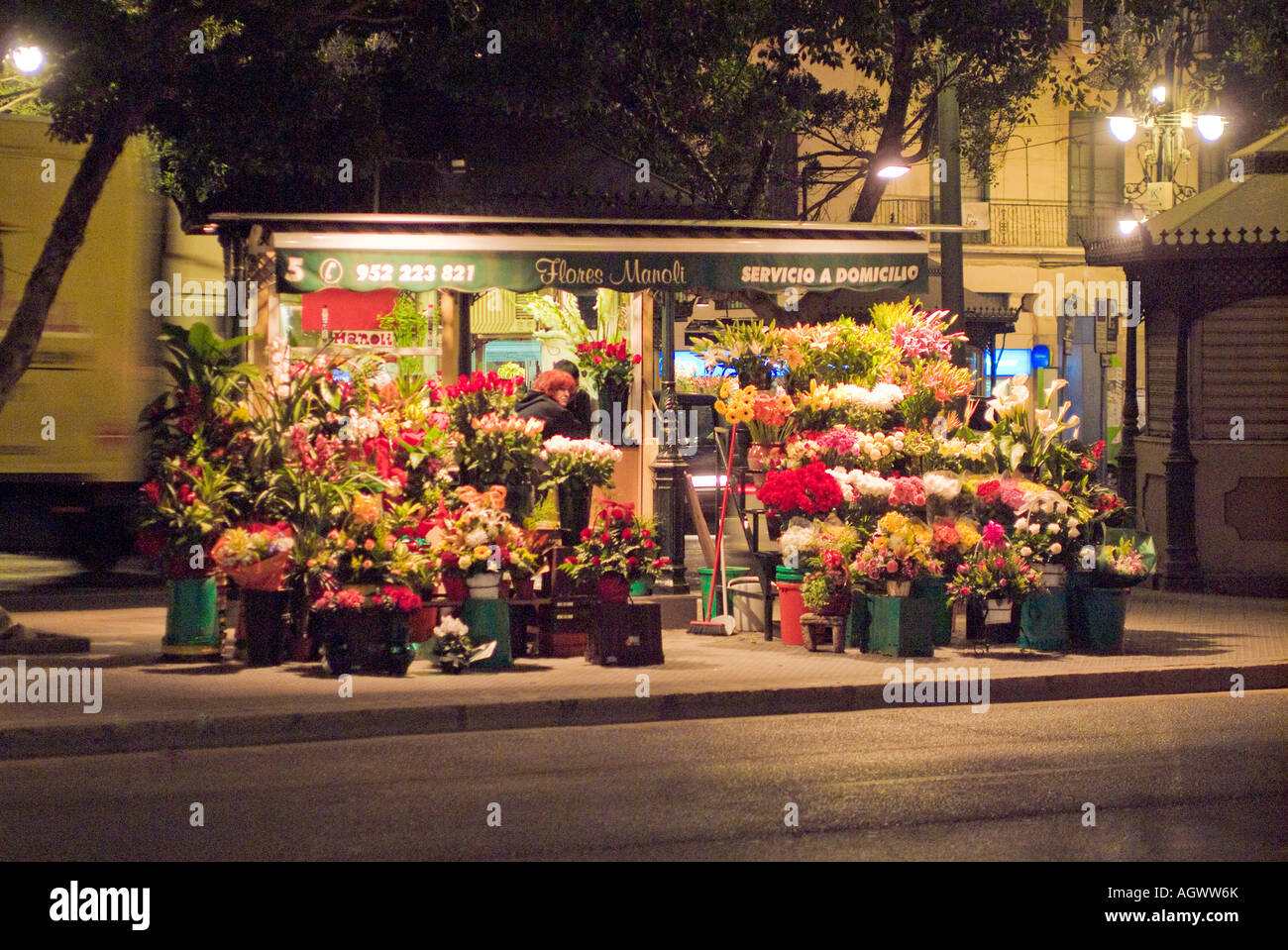 Outdoor flower shop at night on median in Malaga Spain Stock Photo Alamy