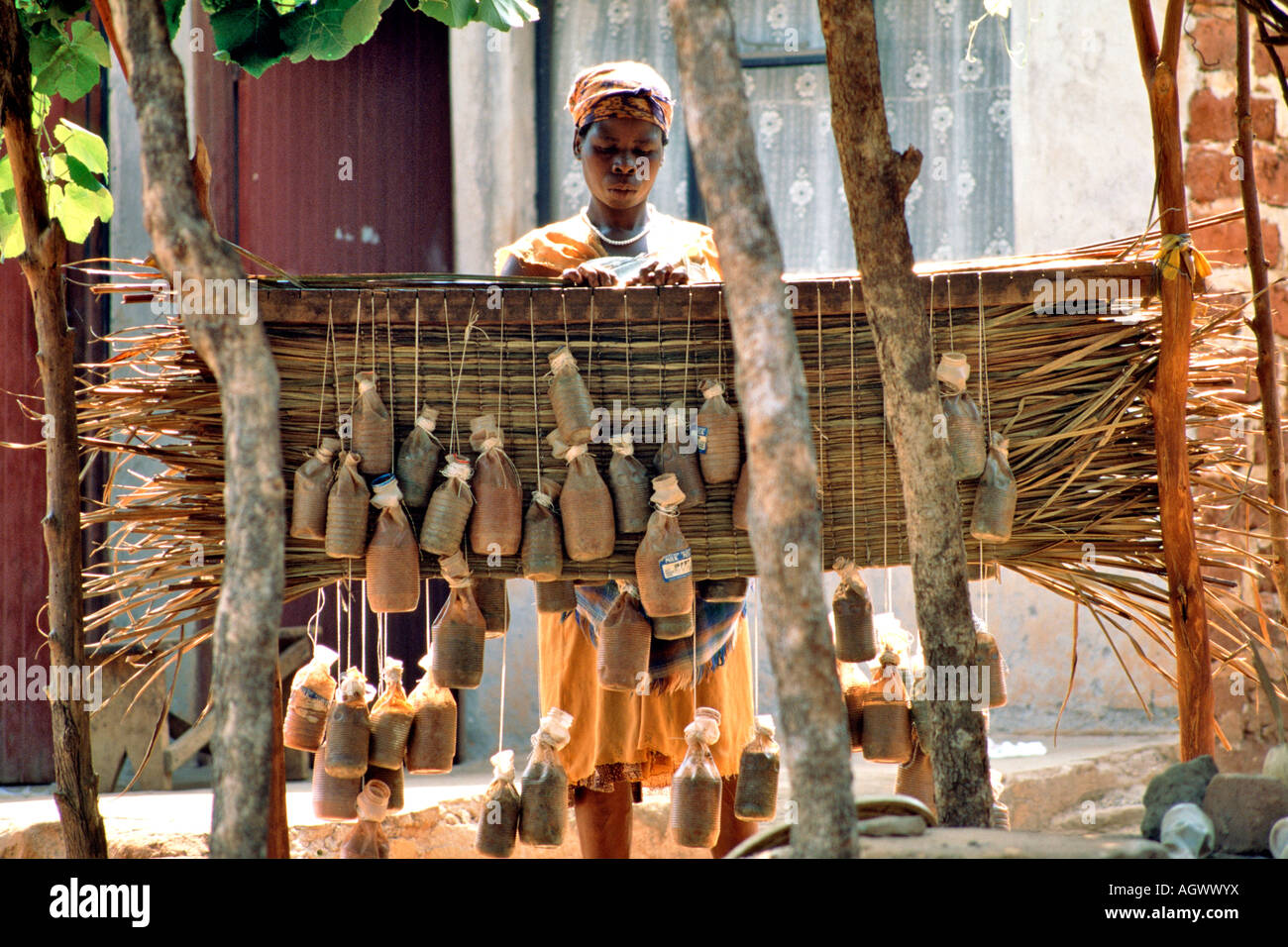 An African lady weaves a mat with dried reeds in the traditional way near Tzaneen in the Mpumalanga province of South Africa. Stock Photo