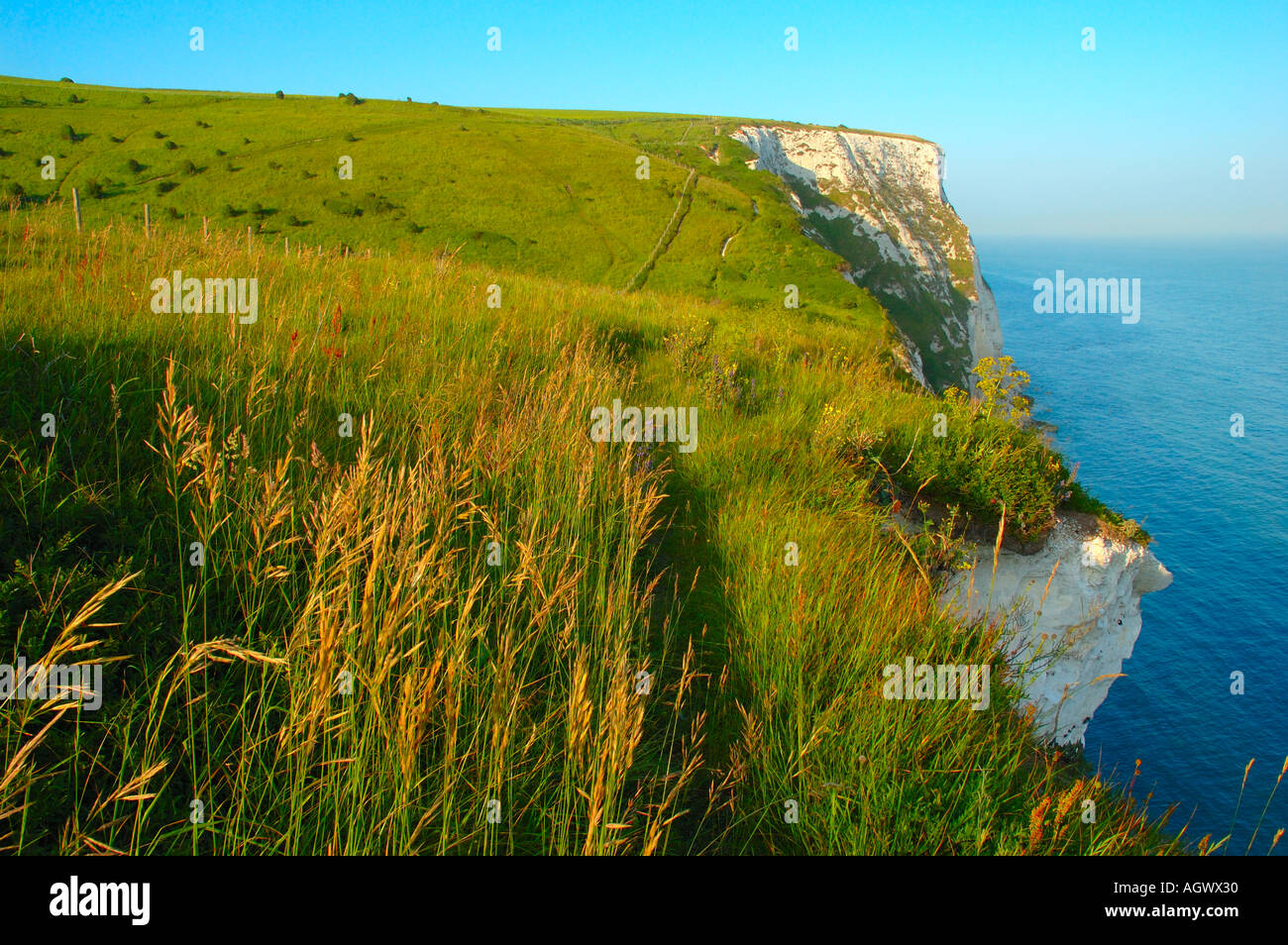 White Cliffs of Dover, Kent, England, UK, GB Stock Photo Alamy