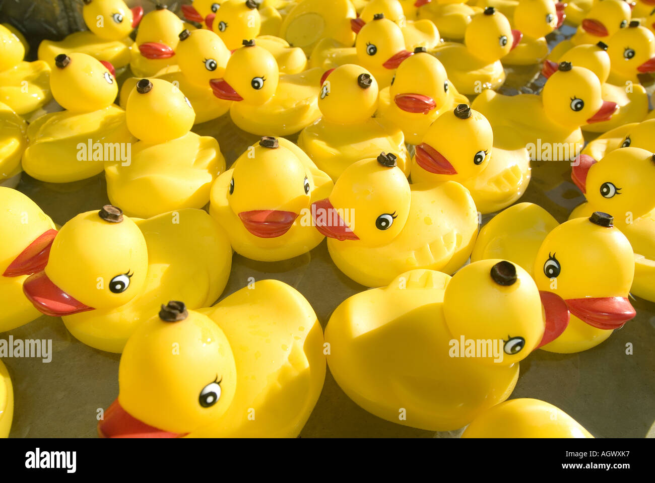 Carnival game rubber duck hi-res stock photography and images - Alamy