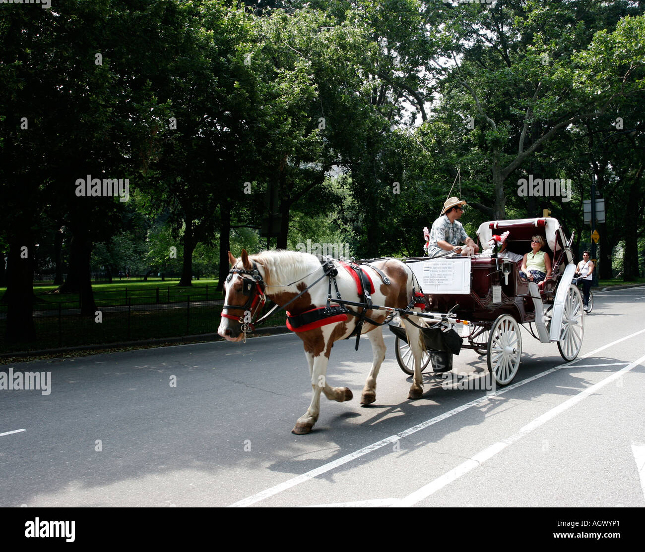 Horse drawn carriage in central park, Manhattan, New York, USA Stock Photo