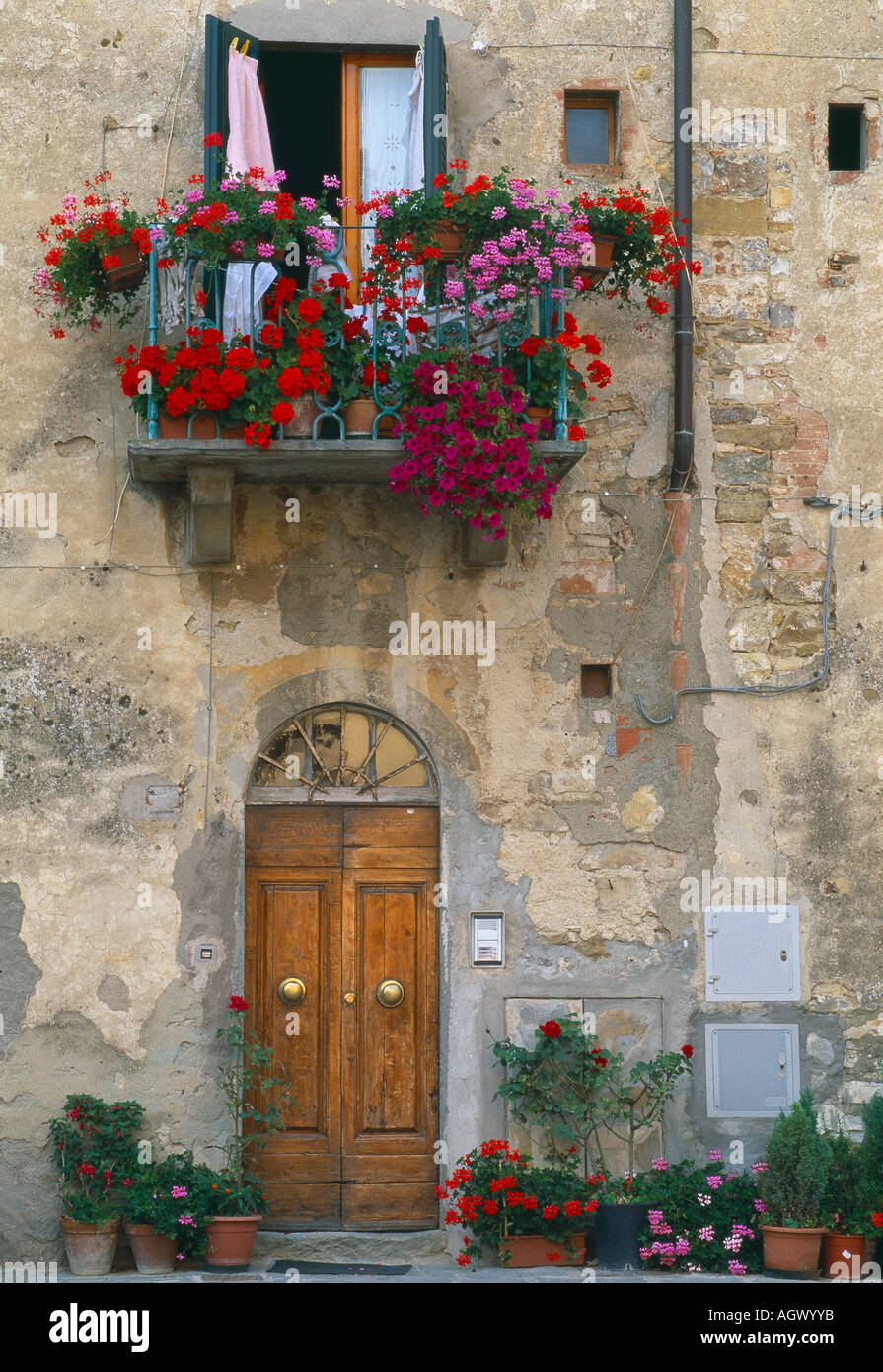 floral window and door Castellina in Chianti Chianti Tuscany Italy Stock Photo