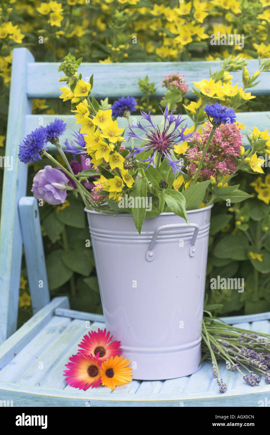 Summer Garden with cut flowers in bucket on garden seat Stock Photo