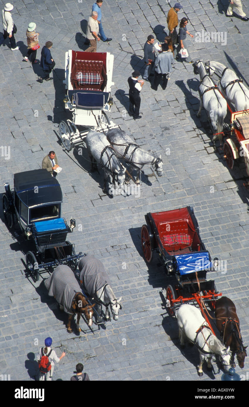 Hackney carriages at the St. Stephen's place in Vienna Austria Stock Photo