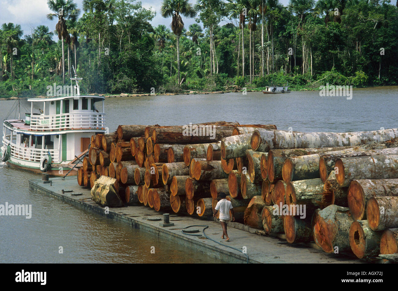 Deforestation barge loaded with logs in Amazon estuary Marajo Island Para Brazil Stock Photo