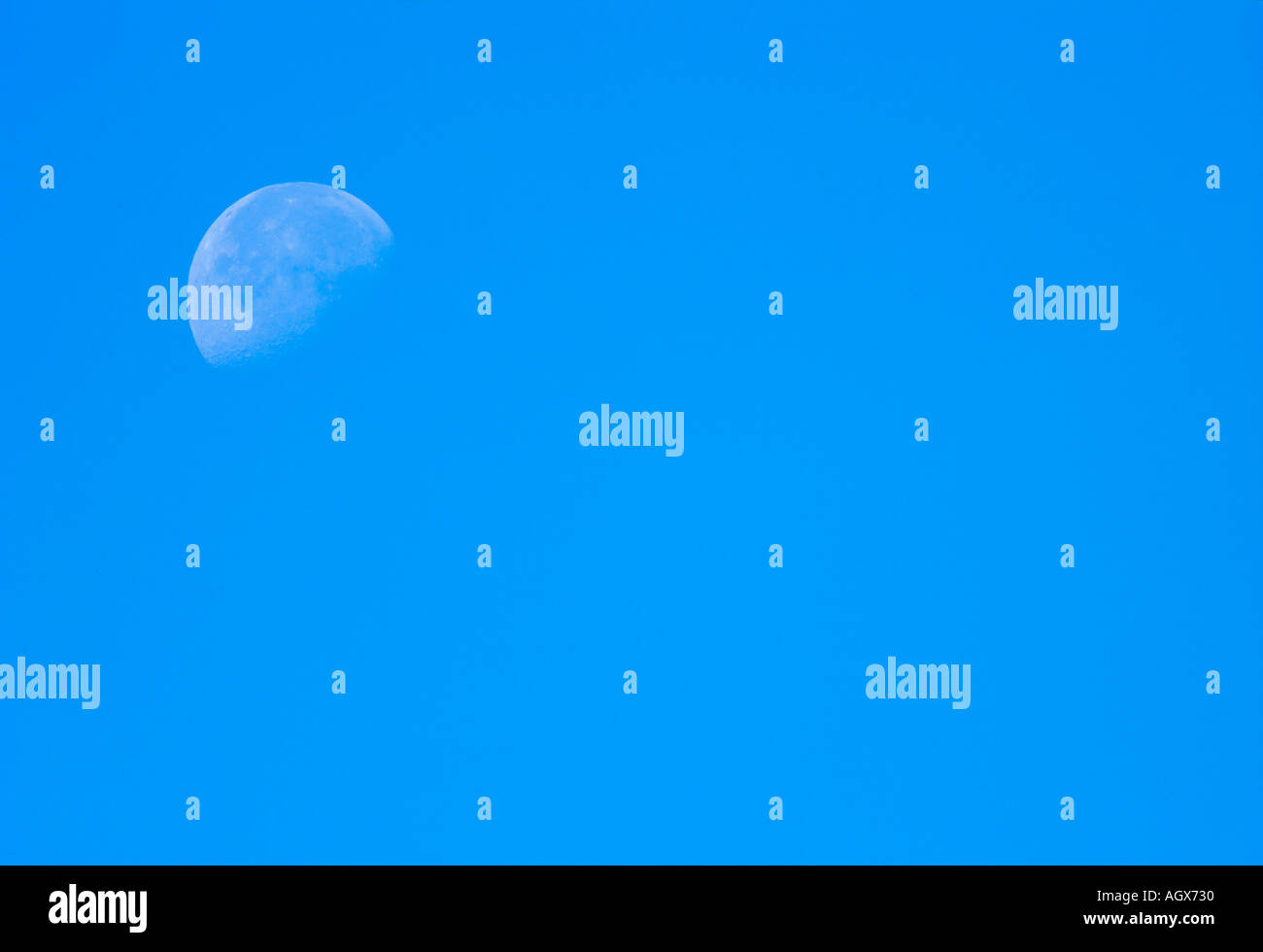 The Moon against early morning blue sky welney norfolk Stock Photo
