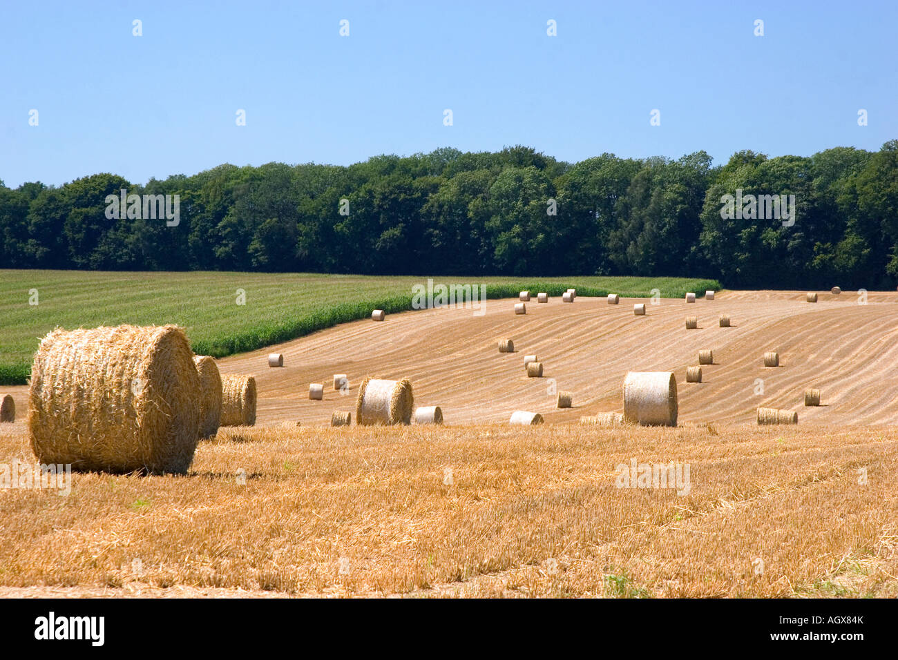 Hay bales in the french countryside near Vervins in the region of Picardie France Stock Photo
