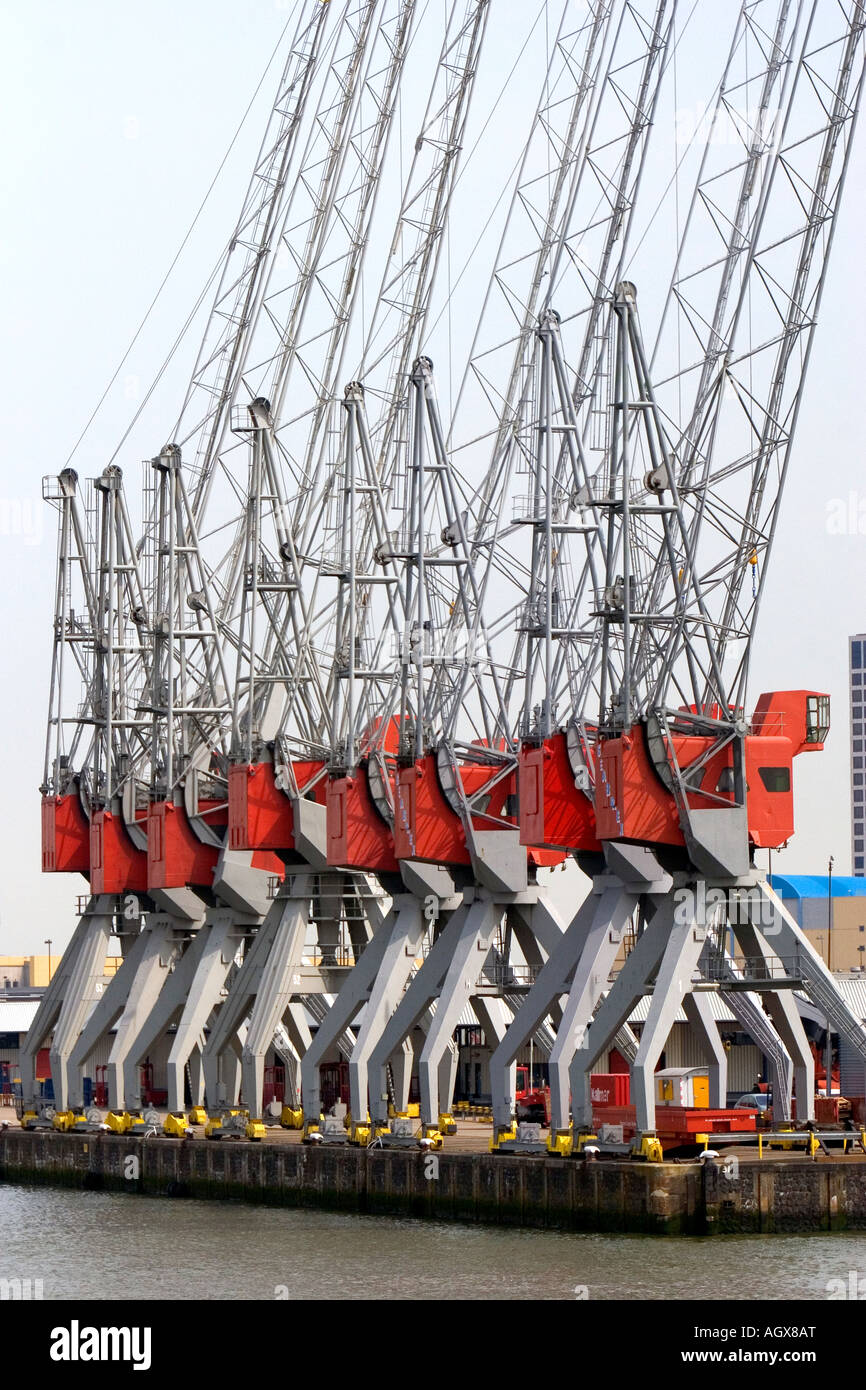 Cranes used for loading and unloading containers at the Port of