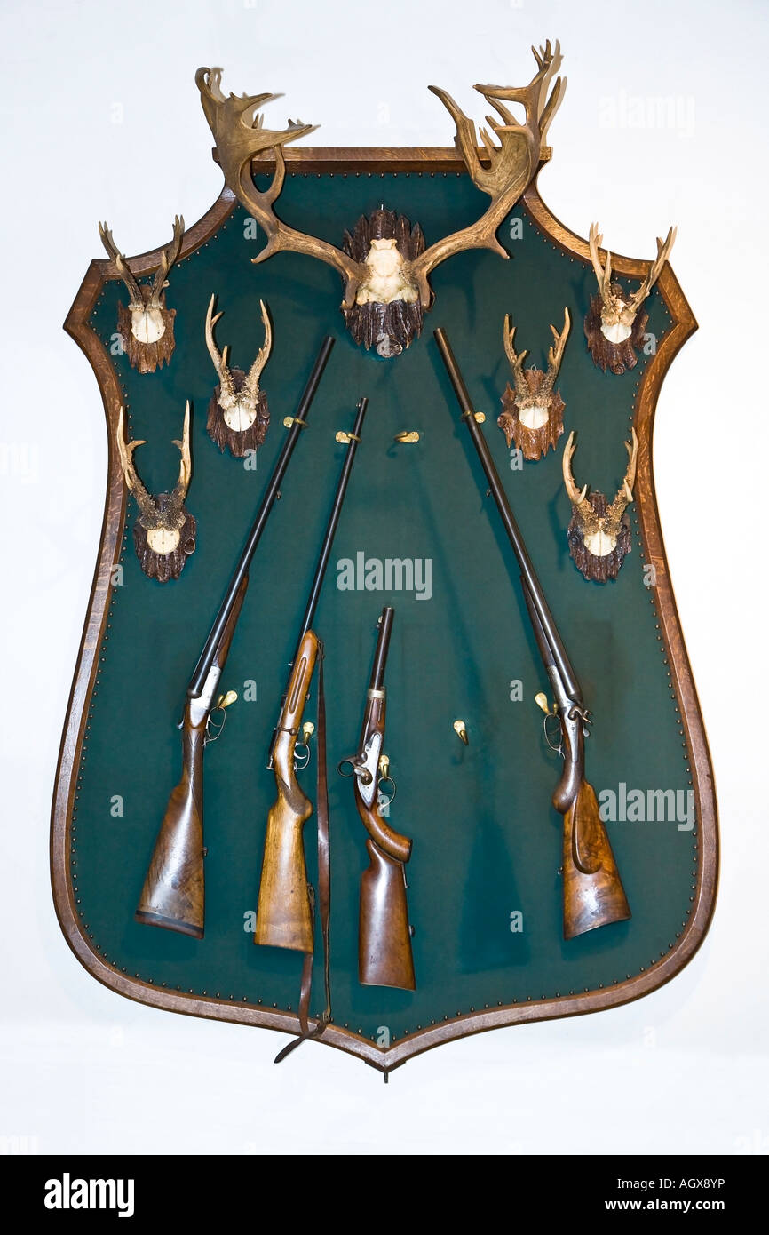 Wall hanging guns and trophies Stock Photo Alamy