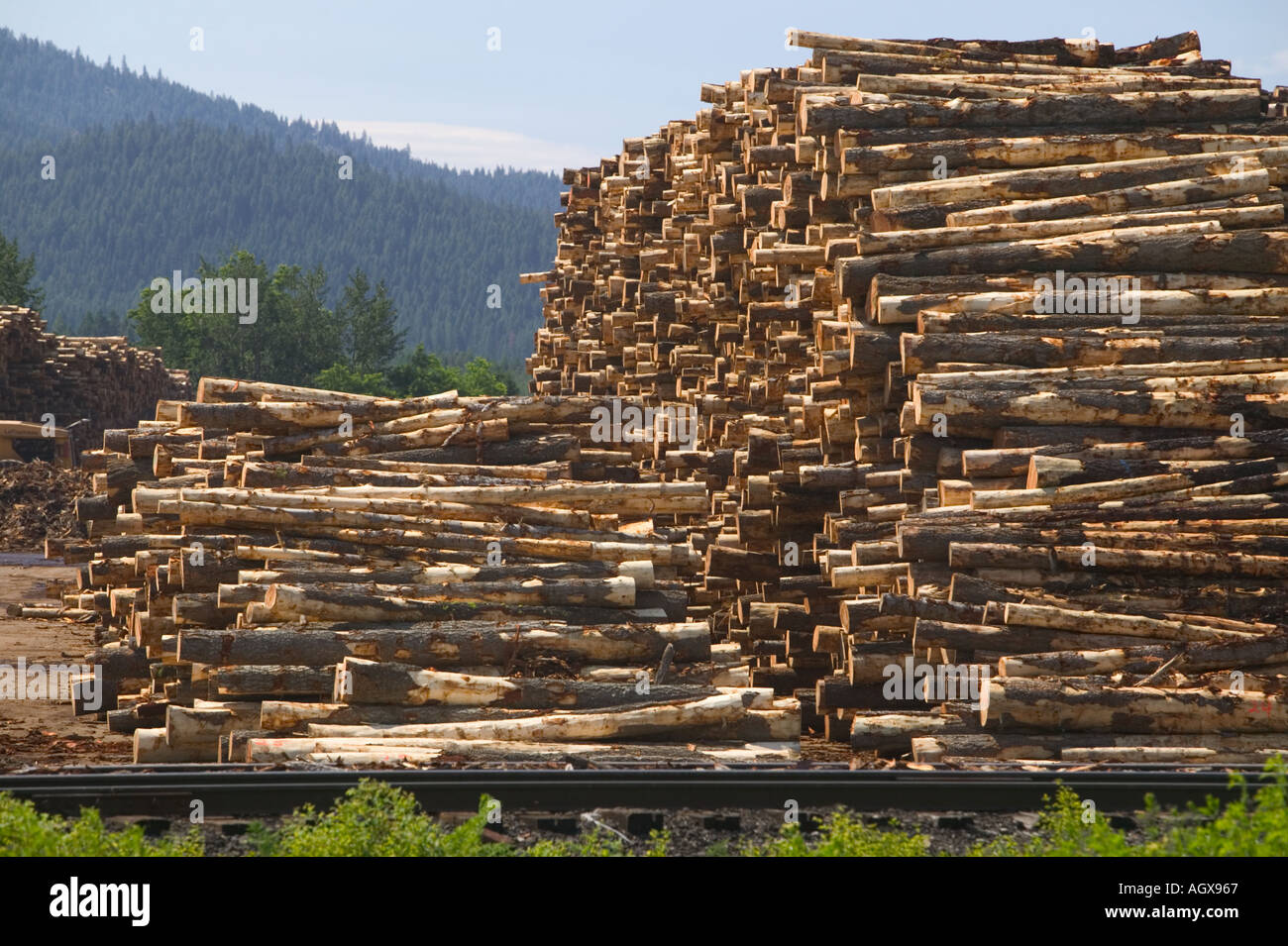 Riley Creek Lumber Company stacked logs Laclede Idaho Bonner County USA