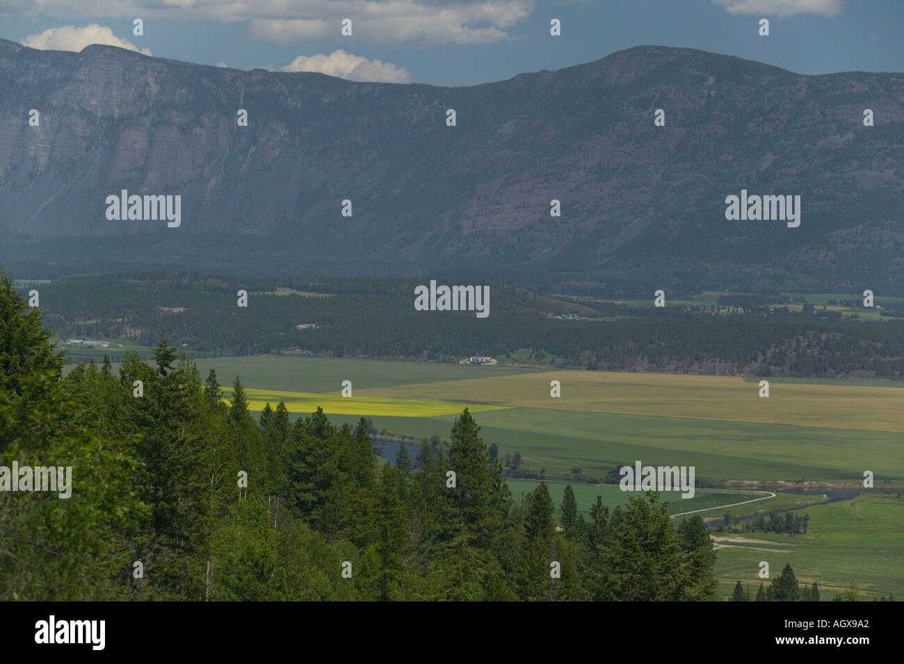 Paradise Valley from Smith Creek Road Idaho Canada border Purcell