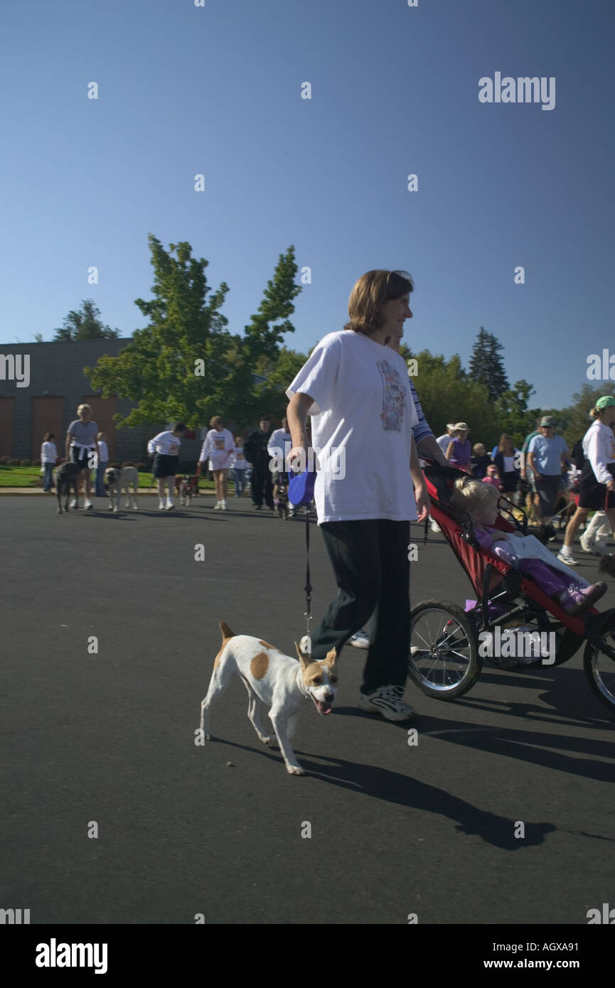 See Spot Walk dog walk festival in Boise Idaho Stock Photo Alamy