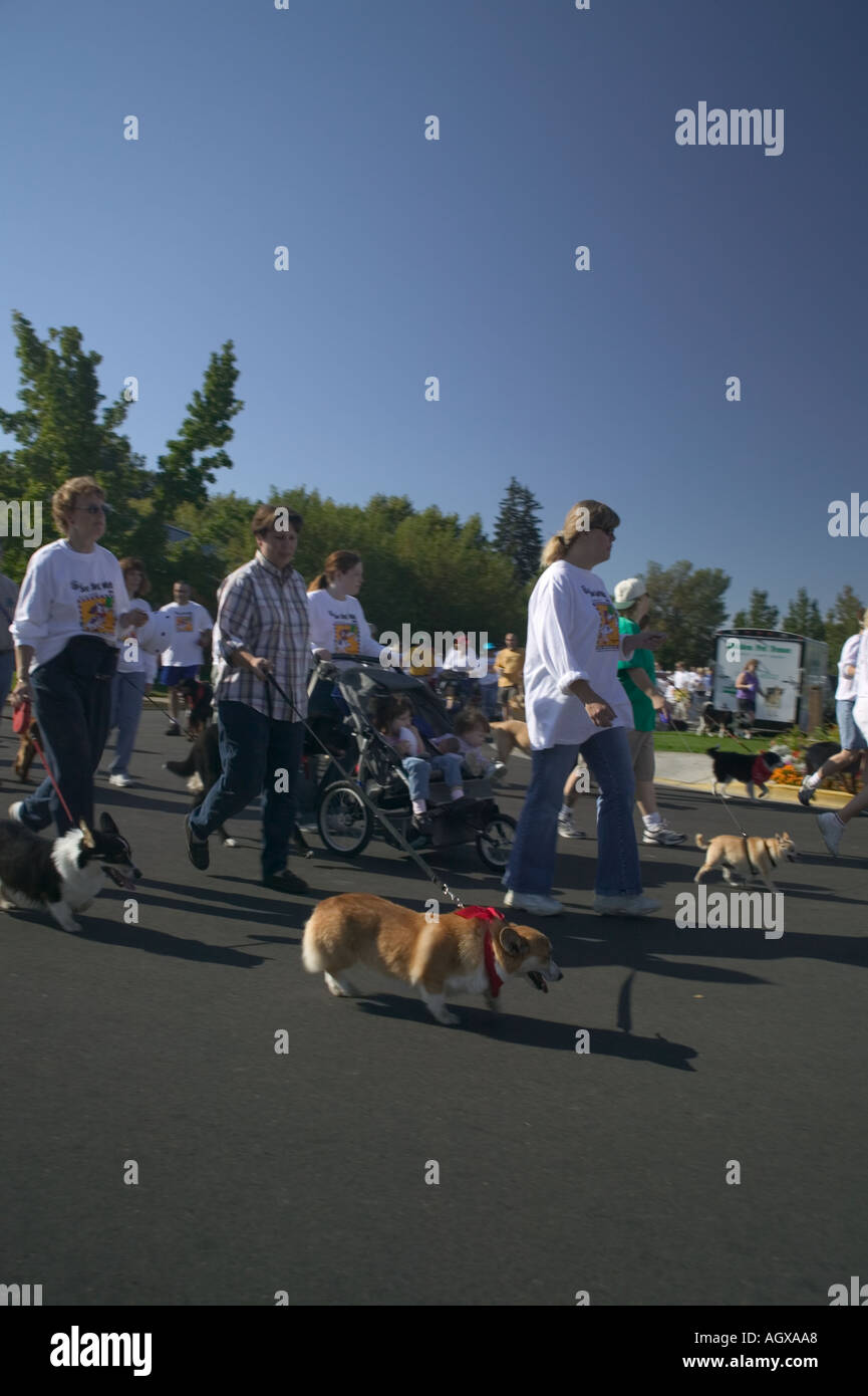 See Spot Walk dog walk festival in Boise Idaho Stock Photo Alamy