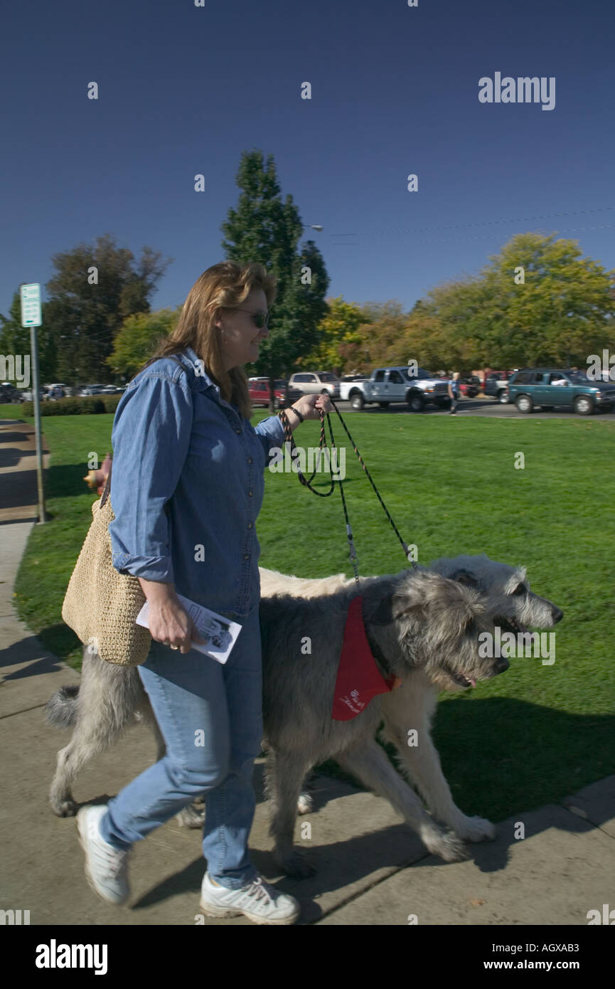 See Spot Walk dog walk festival in Boise Idaho Stock Photo Alamy