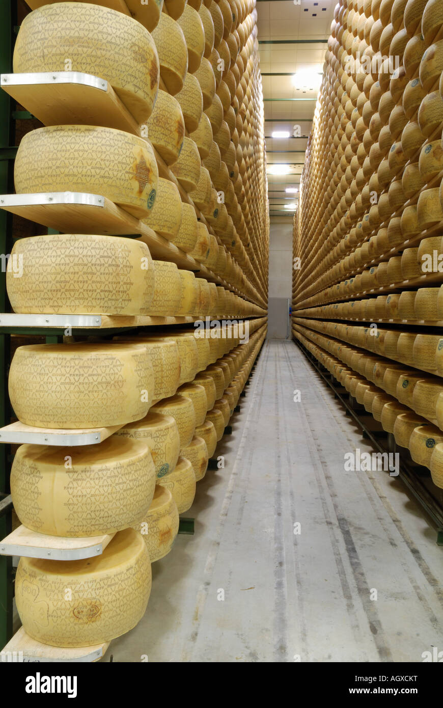 Italian parmesan cheese rounds hi-res stock photography and images - Alamy