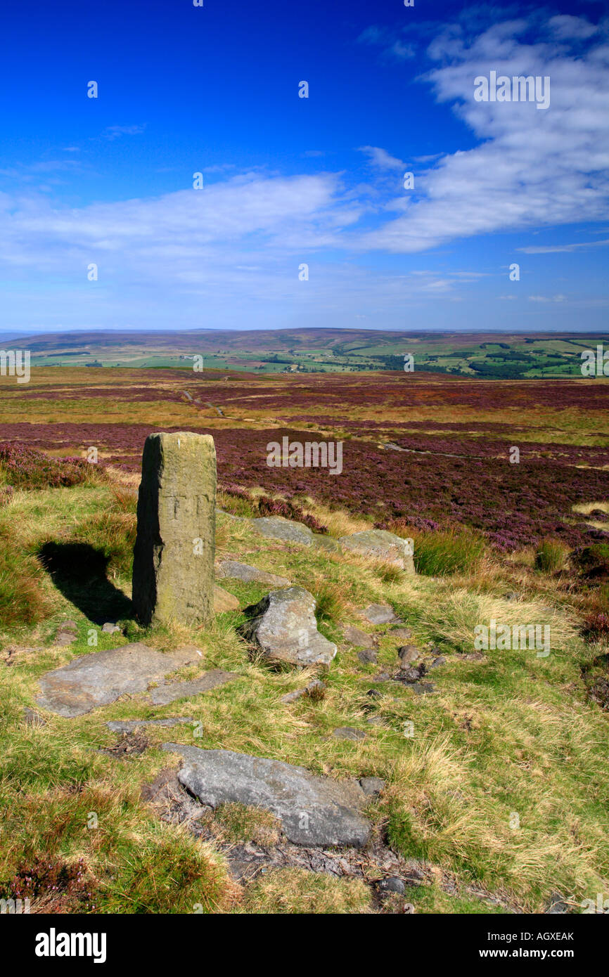 Lanshaw Lad Boundary Stone, Dales Way Link, Ilkley Moor, Ilkley, West Yorkshire, England, UK. Stock Photo