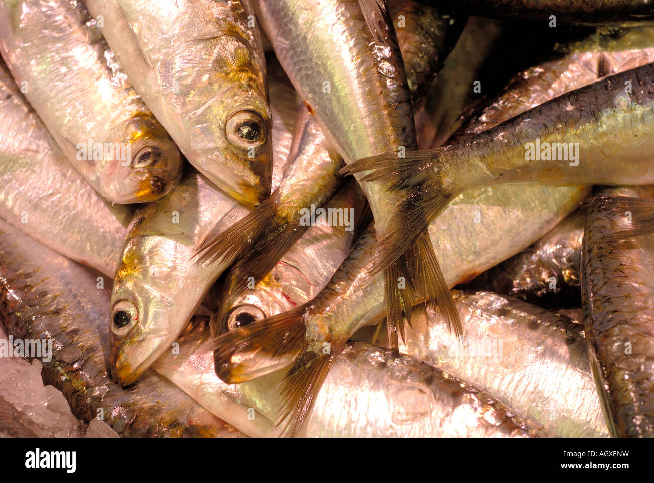 Heads and tails. Fish for sale, France Stock Photo Alamy