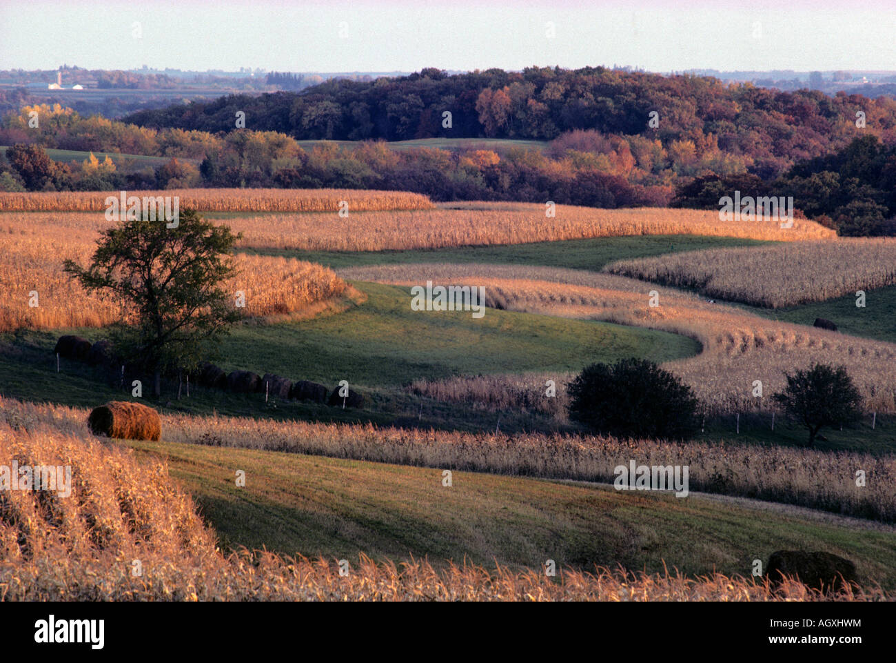 ROLLING FARMLAND IN SOUTH CENTRAL MINNESOTA. FALL Stock Photo Alamy