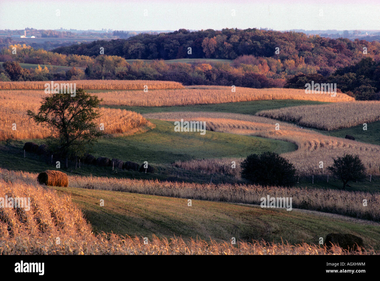 ROLLING FARMLAND IN SOUTH CENTRAL MINNESOTA. FALL. Stock Photo