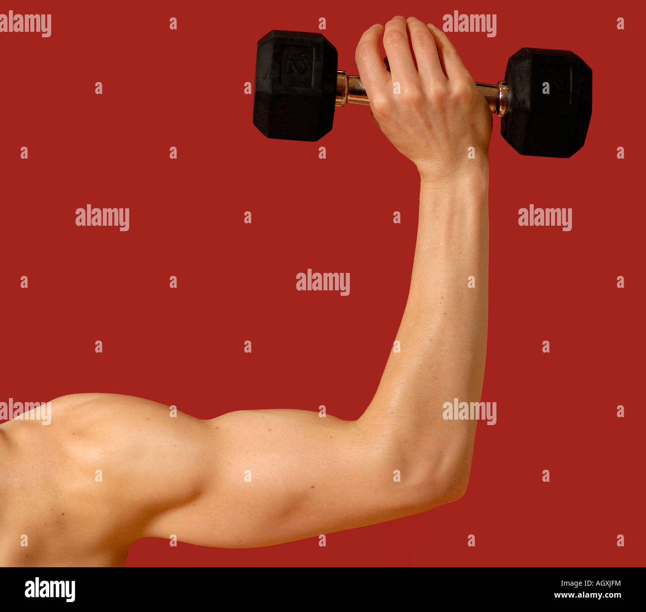 Female arm lifting weight Stock Photo Alamy