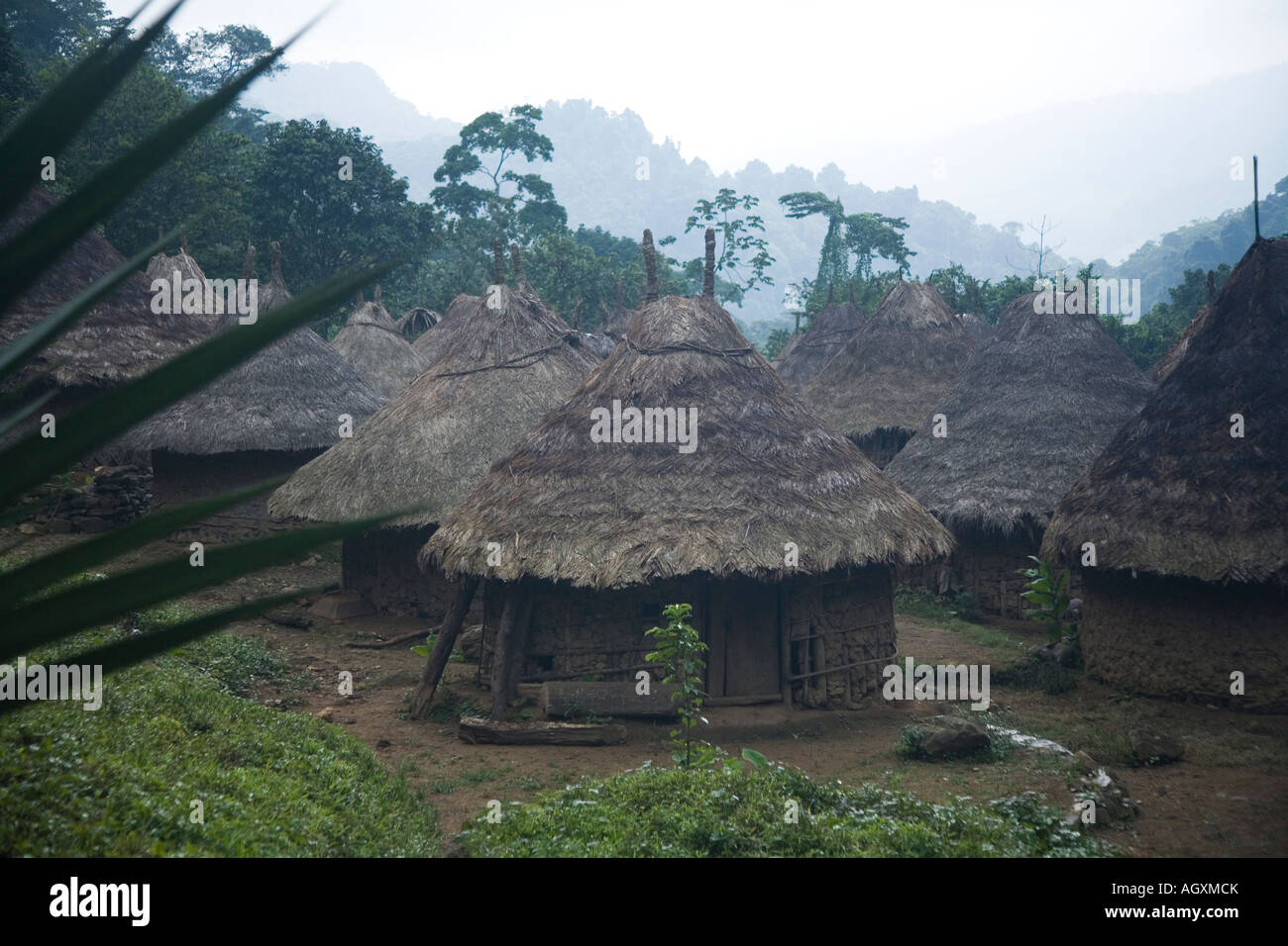 Kogi Indian village in the mist,  Sierra nevada de Santa Marta,  Colombia Stock Photo
