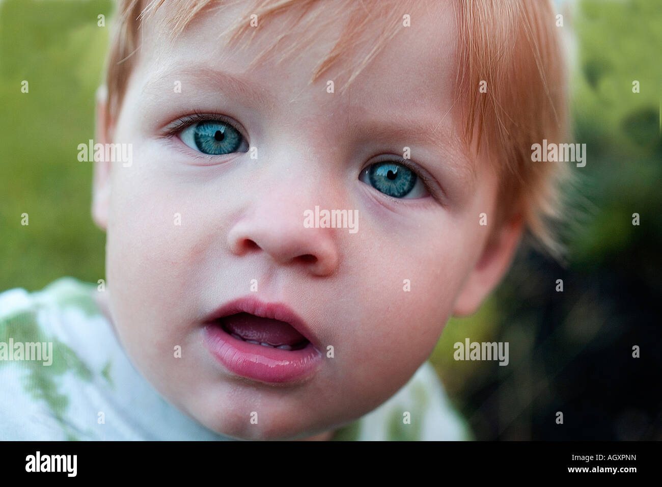 Portrait of a very young boy Stock Photo - Alamy