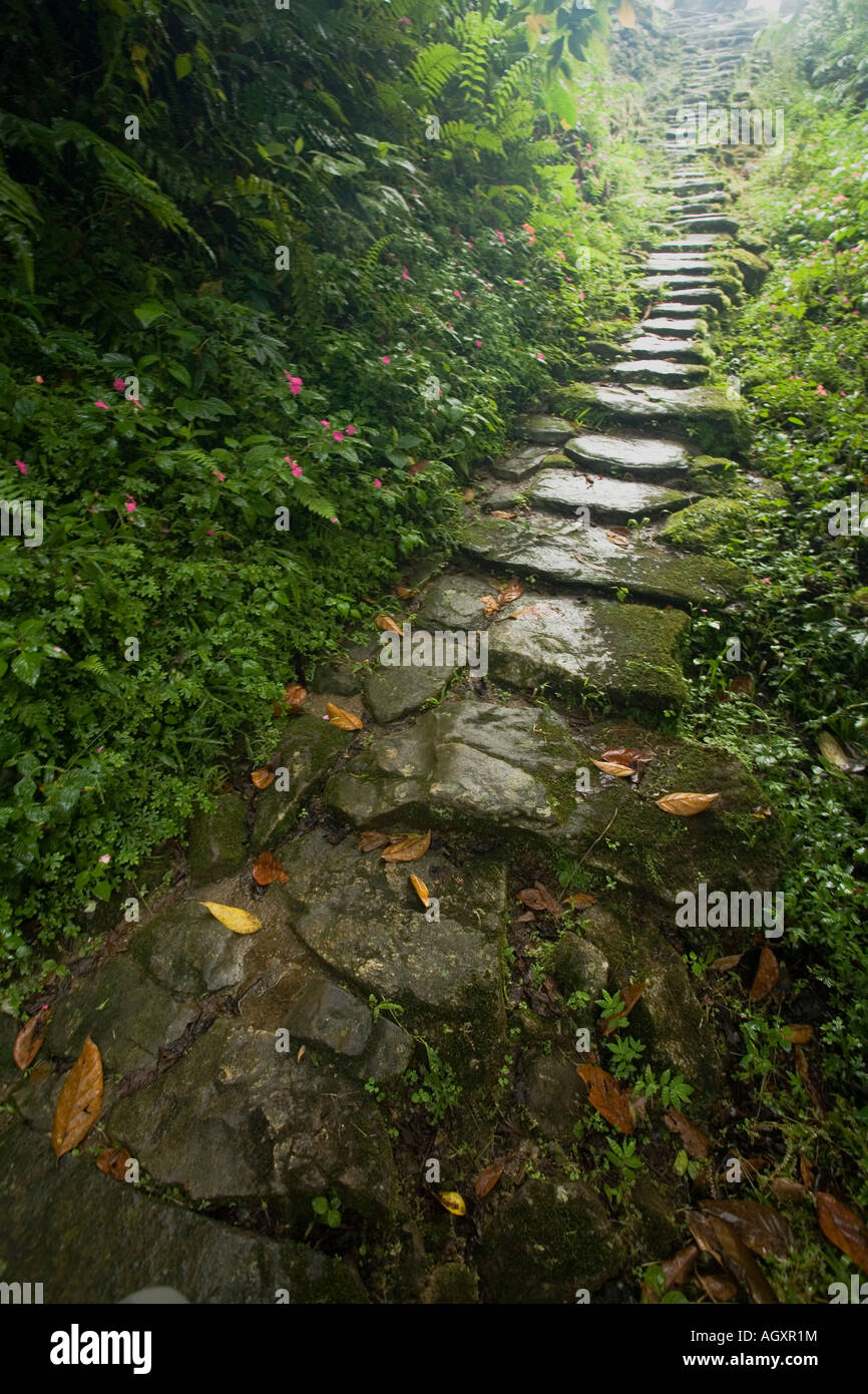 Ciudad perdida hi-res stock photography and images - Page 3 - Alamy