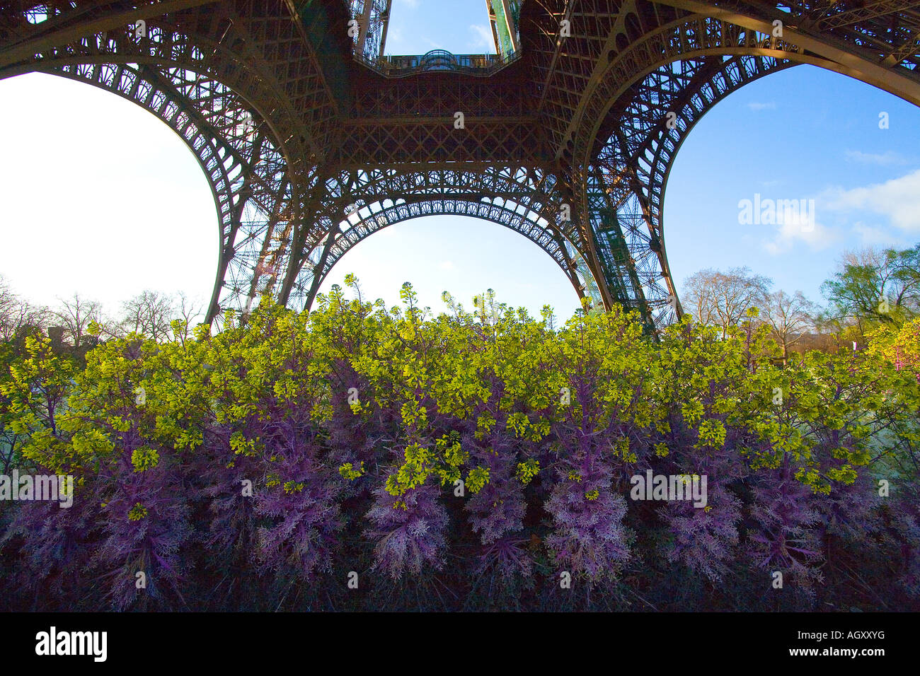 Eiffel Tower, Paris, France at sunset Stock Photo