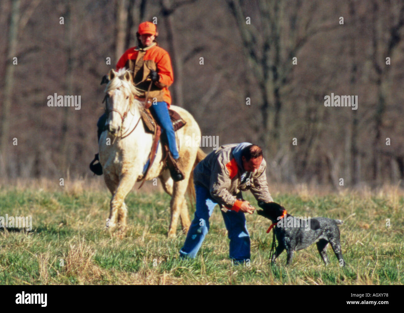 Handler Taking Quail From German Shorthair Pointer During AKC Hunt Test