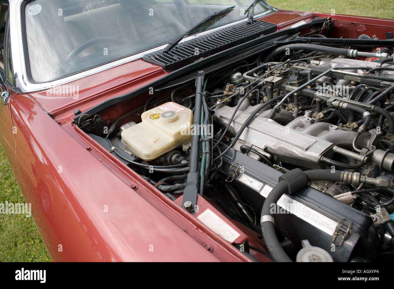 Jaguar XJS classic sports car Stock Photo