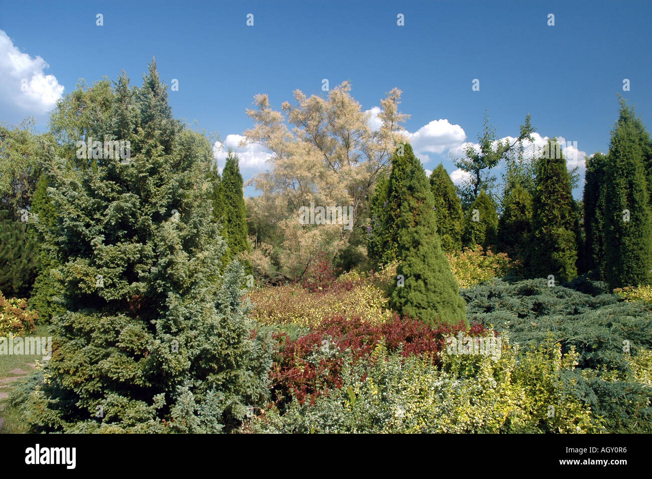 Botanical gardens in Powsin near Warsaw Poland Stock Photo