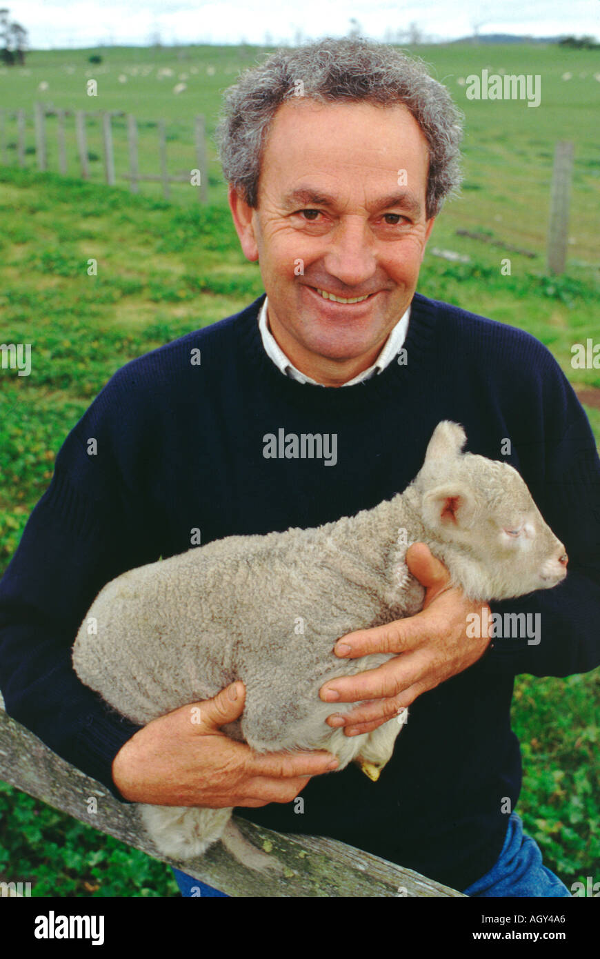 A Tasmanian grower of world class superfine merino wool with a young lamb from his flock Stock Photo