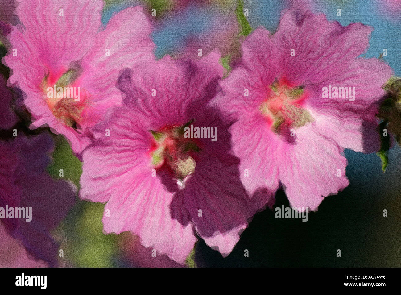 Abstract watercolour flowers hi-res stock photography and images - Alamy