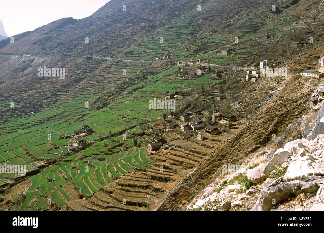 China Yunnan Tiger Leaping Gorge Walnut Grove and terraced agricultural fields Stock Photo