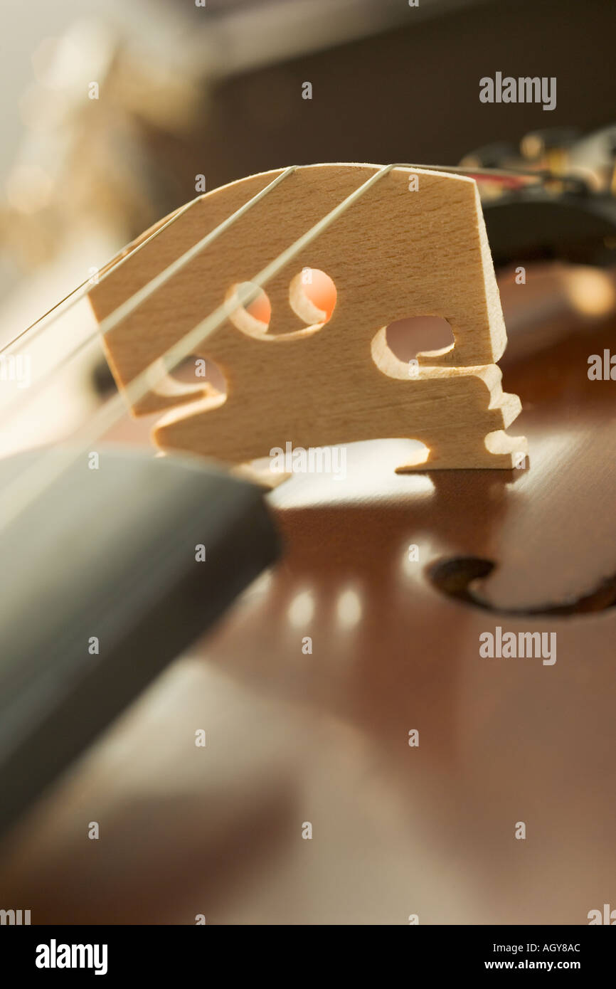 Extreme closeup of a violin Stock Photo