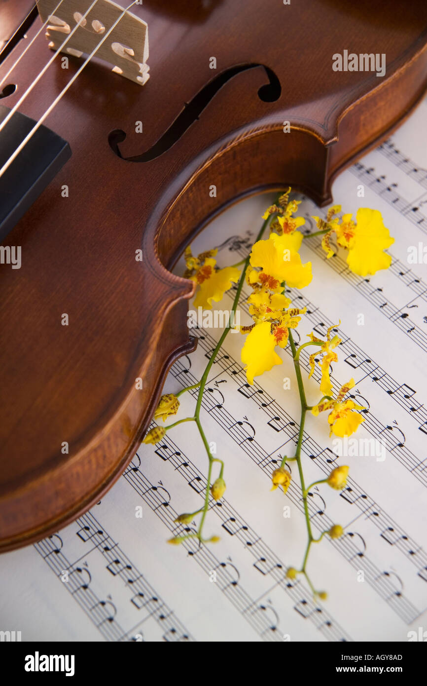 Still life of a violin Stock Photo