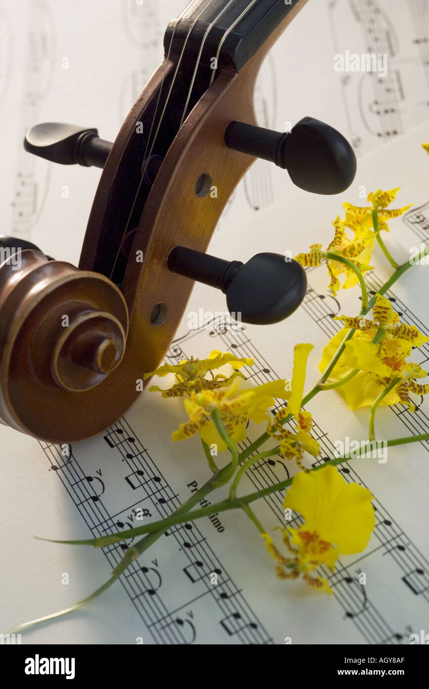 Still life of a violin Stock Photo