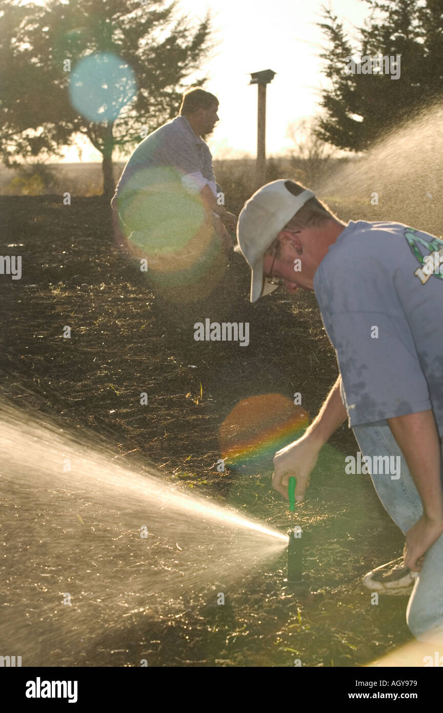 Adjusting sprinkler heads after installation Stock Photo Alamy