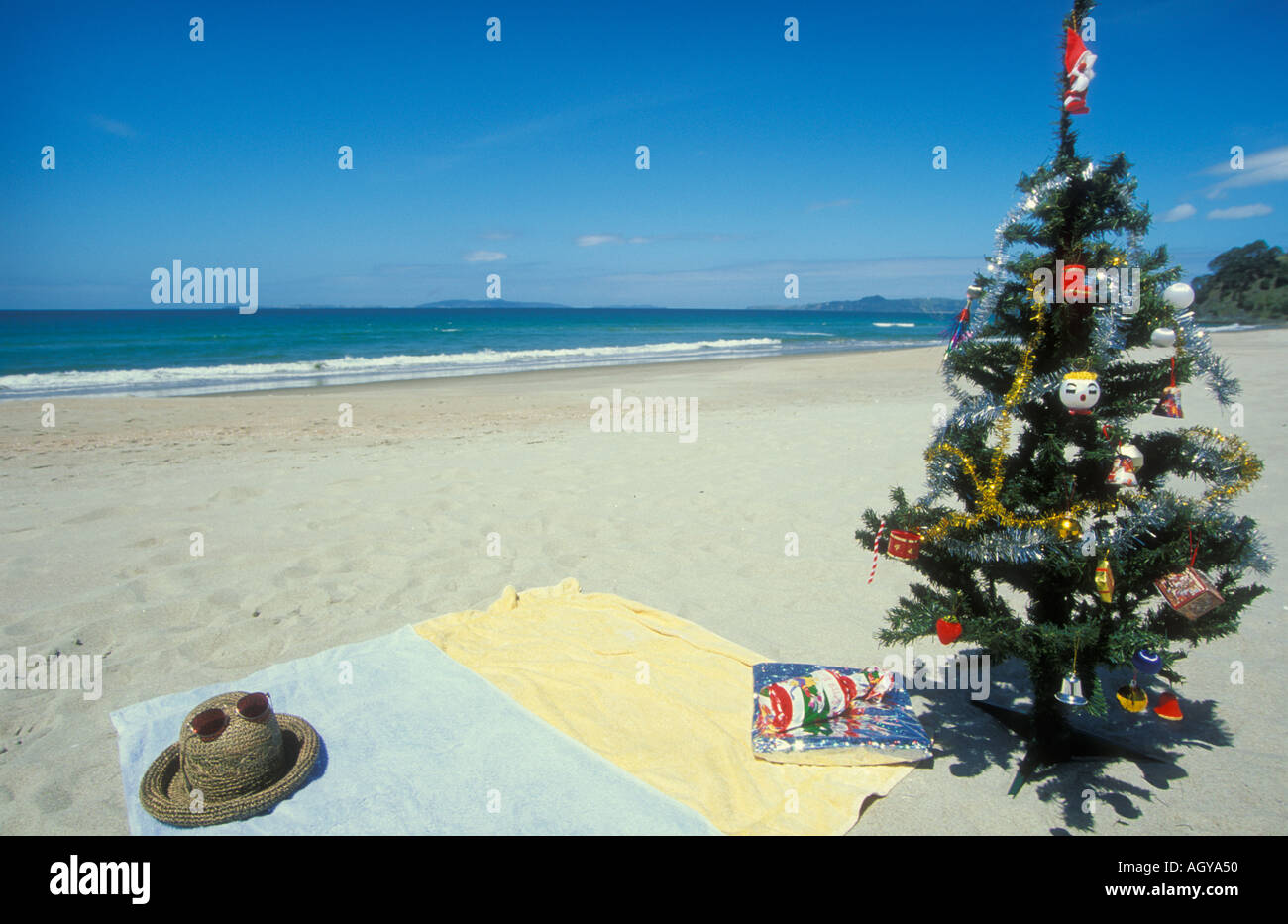 surreal kiwi christmas on the beach coromandel peninsula north island new zealand stock image - Christmas On The Beach surreal kiwi christmas on the beach coromandel peninsula north island new zealand stock image - Christmas On The Beach