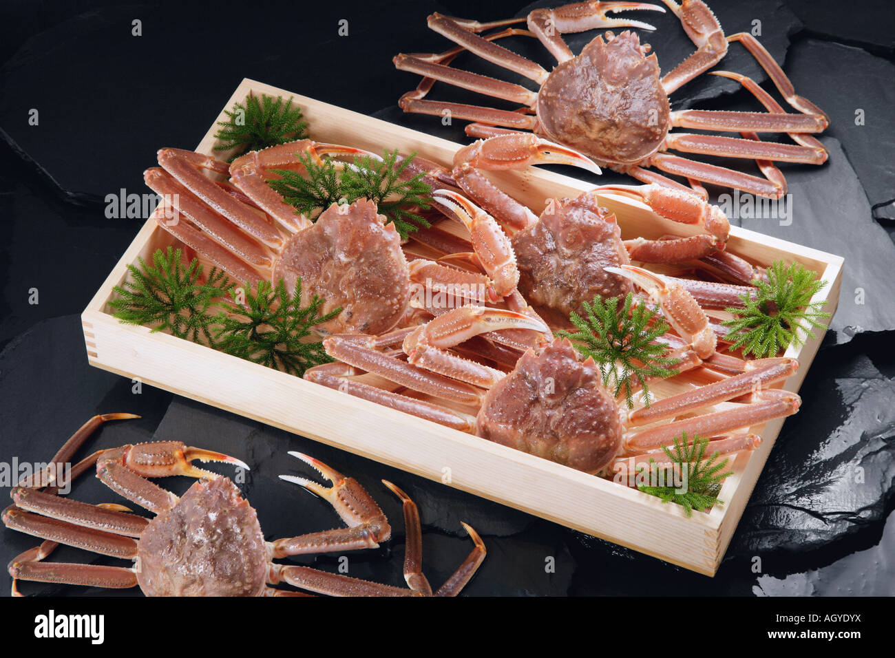 Queen crabs hires stock photography and images Alamy