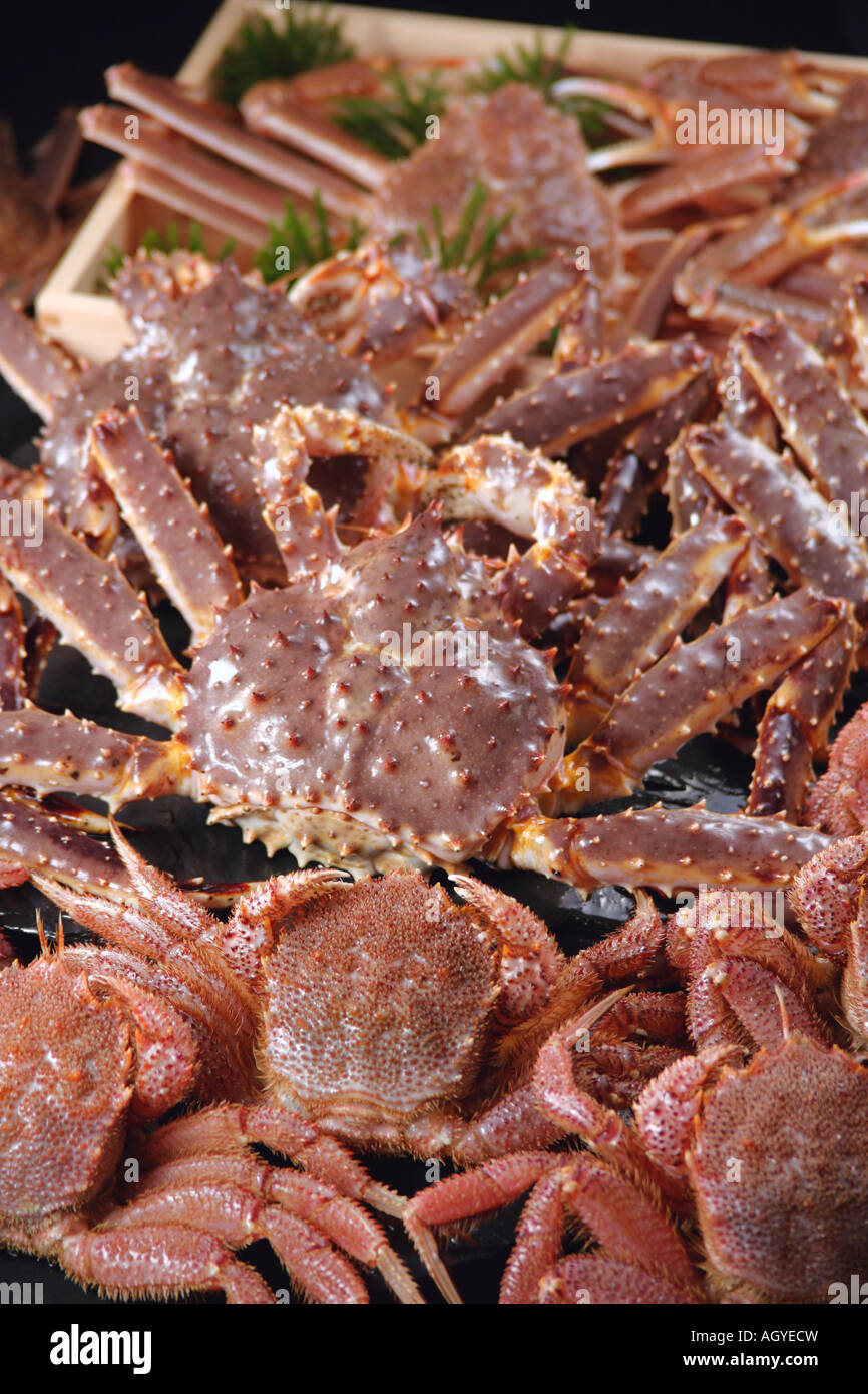 Queen crabs hires stock photography and images Alamy