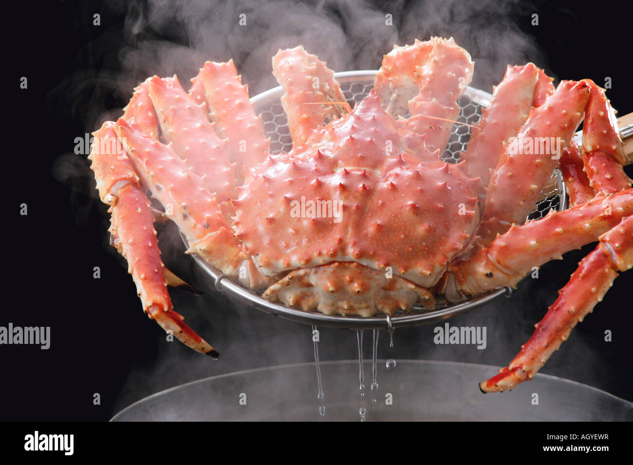 Boiled king crab Stock Photo Alamy