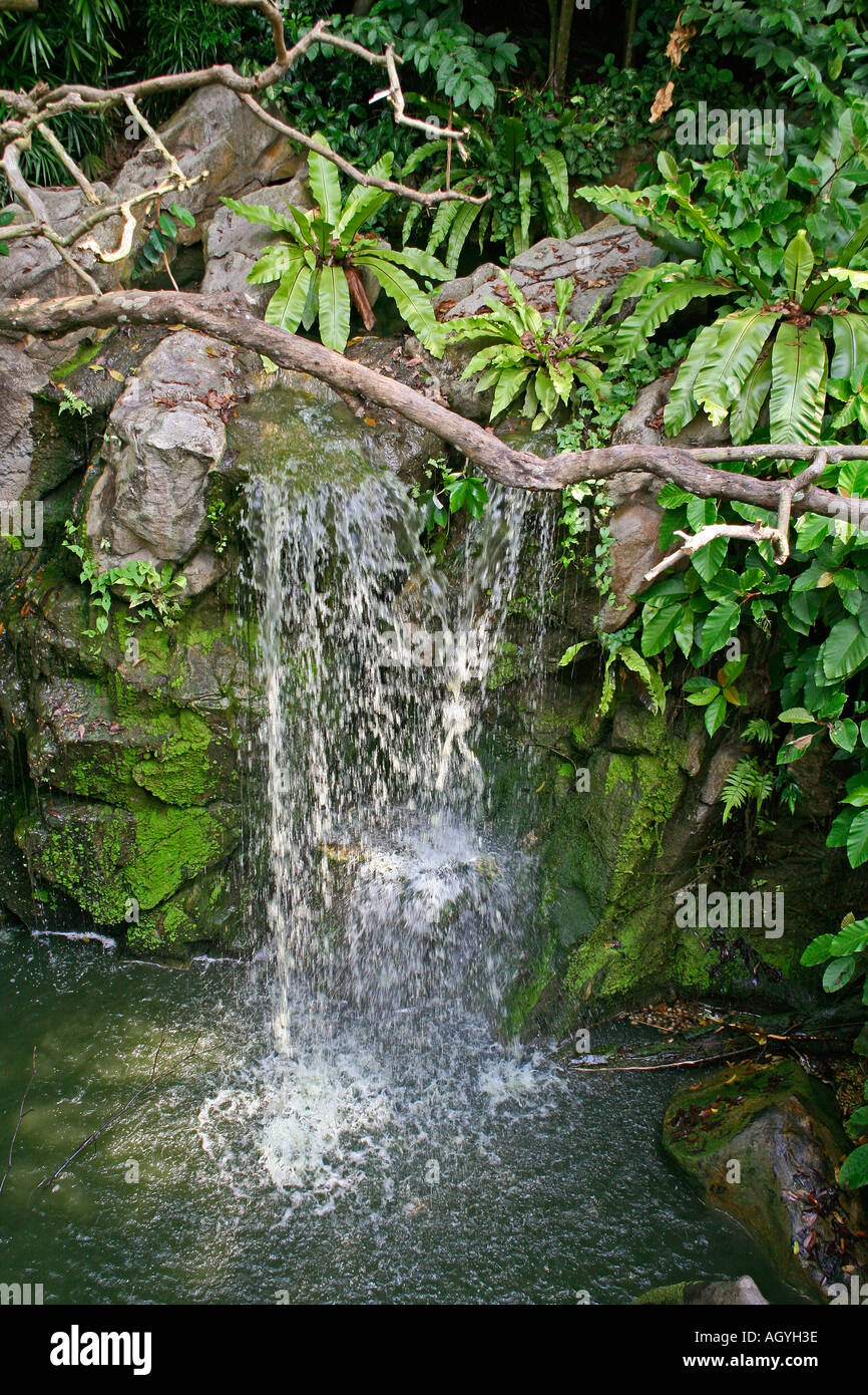 waterfall Singapore Stock Photo