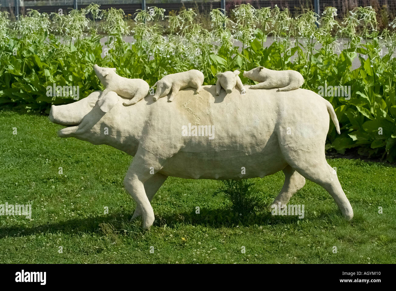 Pig Statue With Piglets Stock Photo Alamy