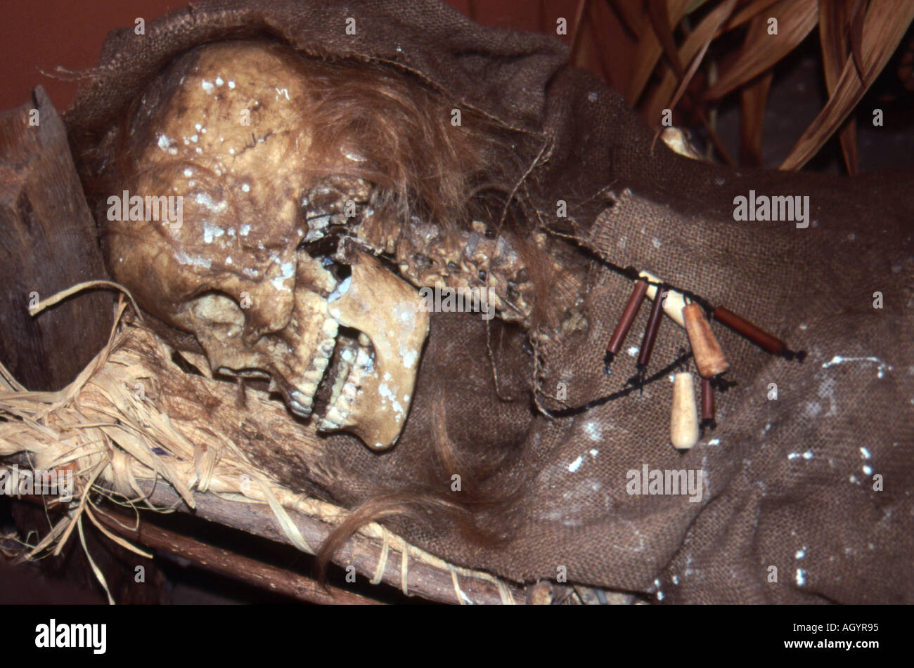 Skeleton in tomb od the Eagles Liddel Burwick Orkney Islands Scotland Stock Photo