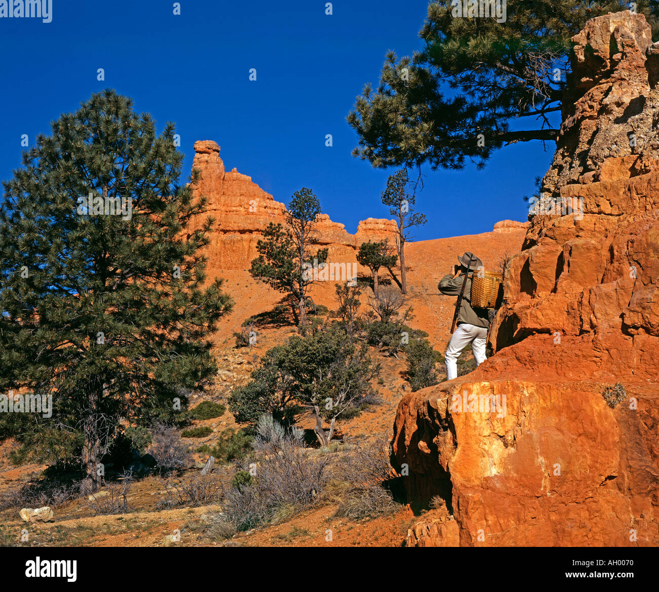 hunter looking for deer with binoculars in canyon Stock Photo