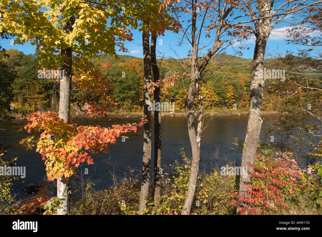 Adirondacks. Fall Foliage by the Hudson River, Adirondack Mountains, New York State, USA Stock Photo