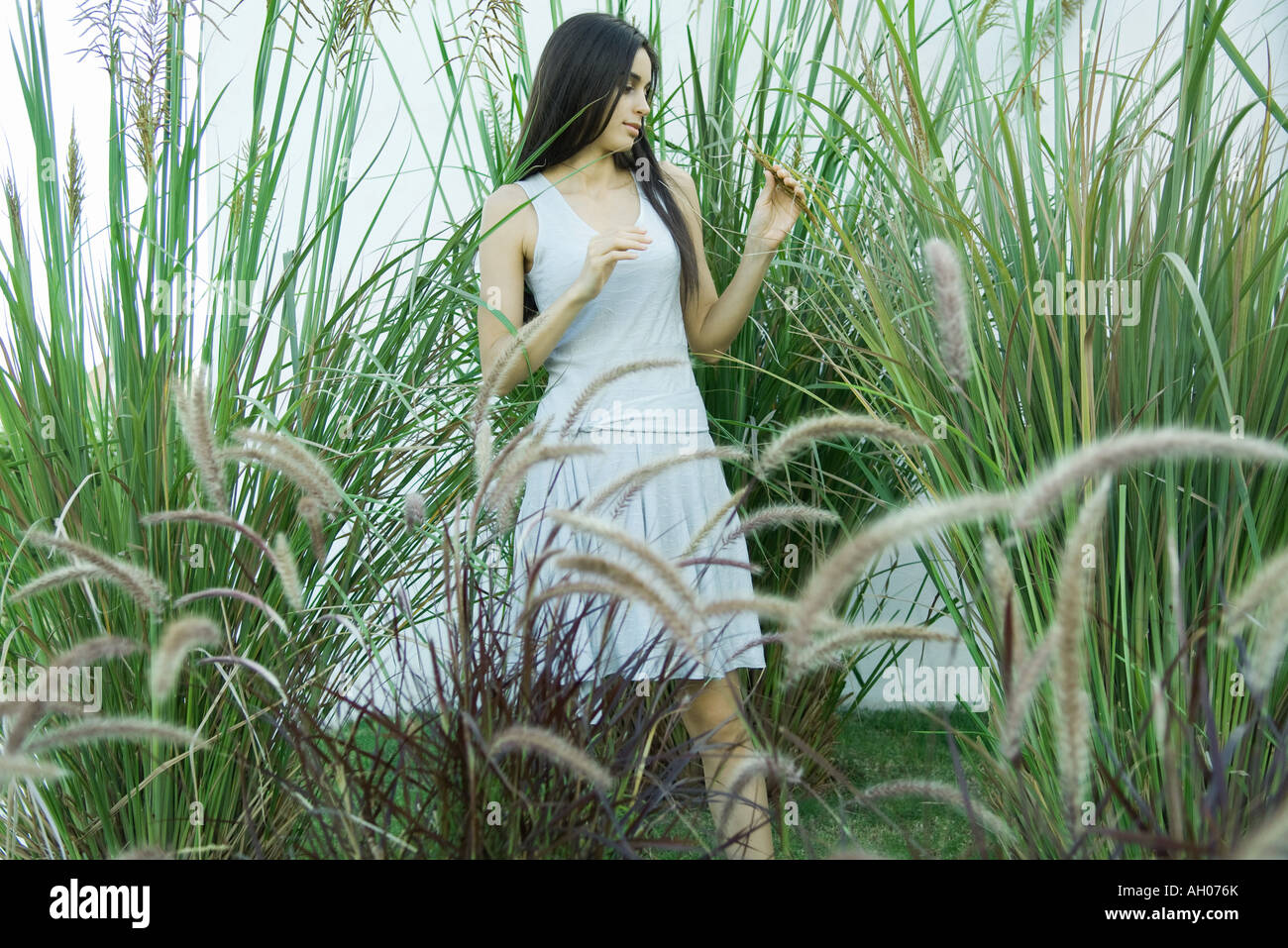 Woman standing in ornamental garden, looking at foliage Stock Photo