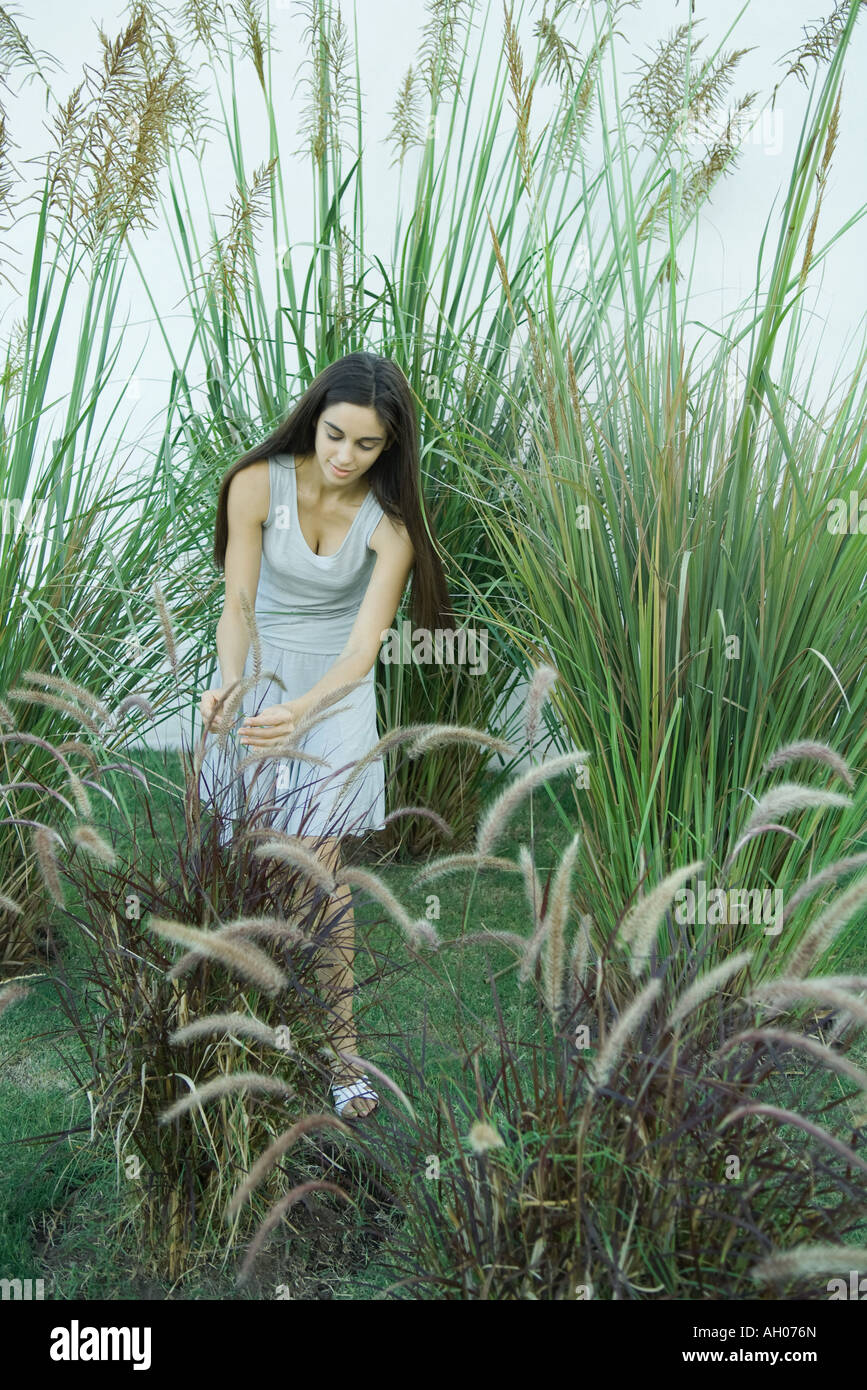 Woman standing in ornamental garden, bending over, looking at foliage Stock Photo