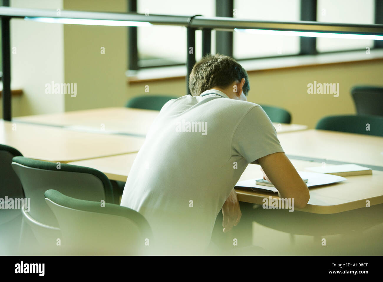Male student studying, rear view Stock Photo